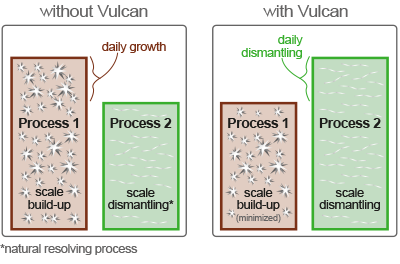 daily scale growth